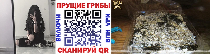 дарк нет наркотические препараты  ссылка на мегу ТОР  Спасск-Рязанский  Псилоцибиновые грибы MAGIC MUSHROOMS 